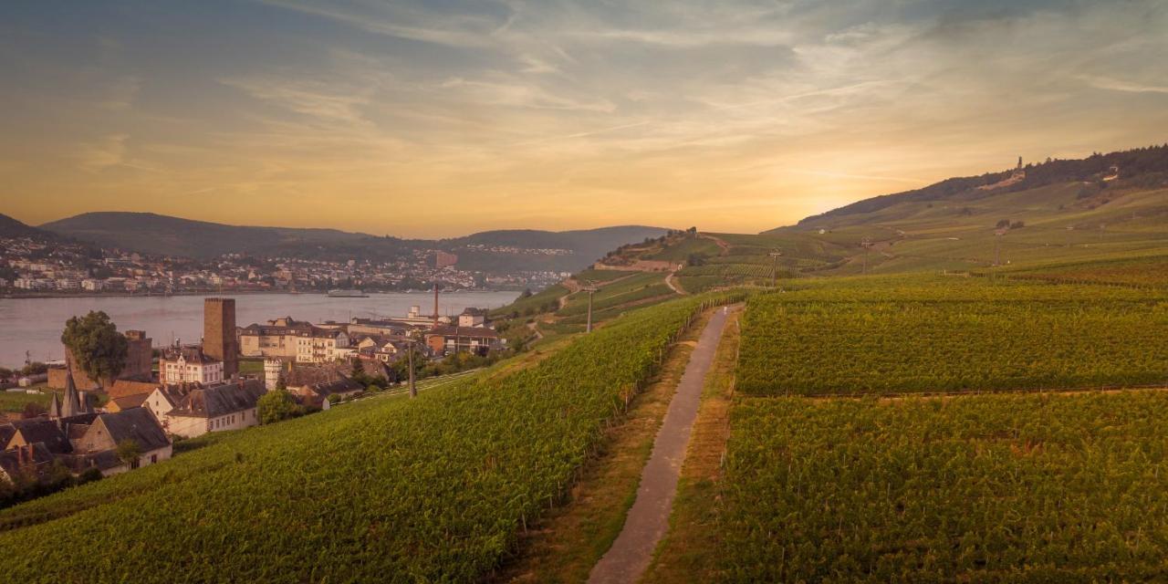 רודסהיים אם ריין Weinhotel Des Riesling Zum Gruenen Kranz מראה חיצוני תמונה